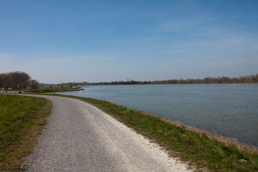 Rhein bei Söllingen, Deutschland