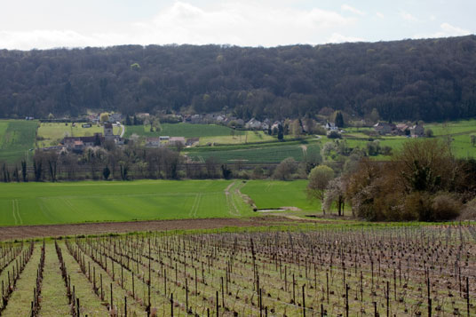 Blick auf Sauvigny 17 km hinter Château-Thierry, Frankreich