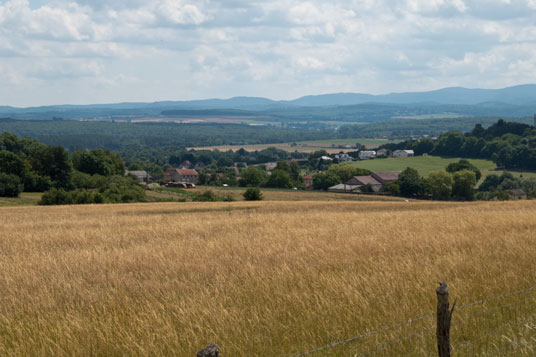 Abseits des Kanals bei Niderviller