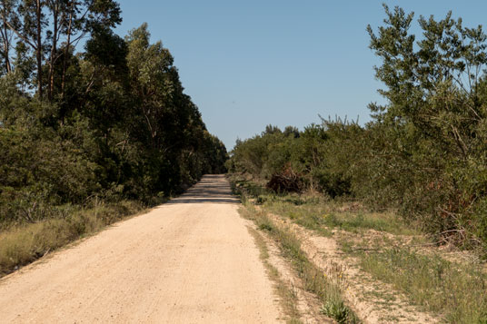 Piste nördlich von Longueira