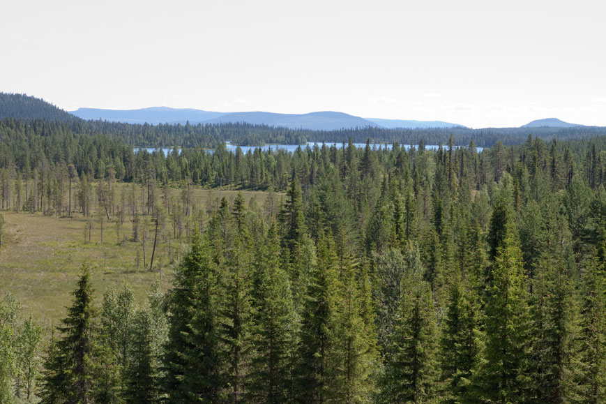 Der See Byskeälven, Schweden