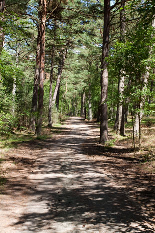 Cykelspåret Västkusten bei Ängelholm