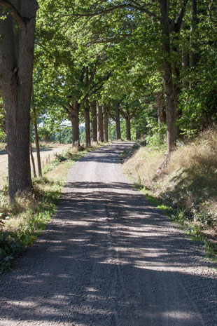 Cykelspåret 12 km hinter Västervik vor Svinnersbo, Schweden