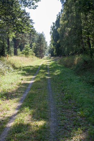 Cykelspåret zwischen Maglehem und Brösarp, Schweden