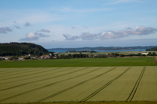 Abseits des Meeres bei Fjärås