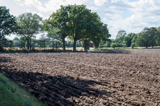 Landschaft am Bahnradweg kurz vor Ljungbyholm, Schweden