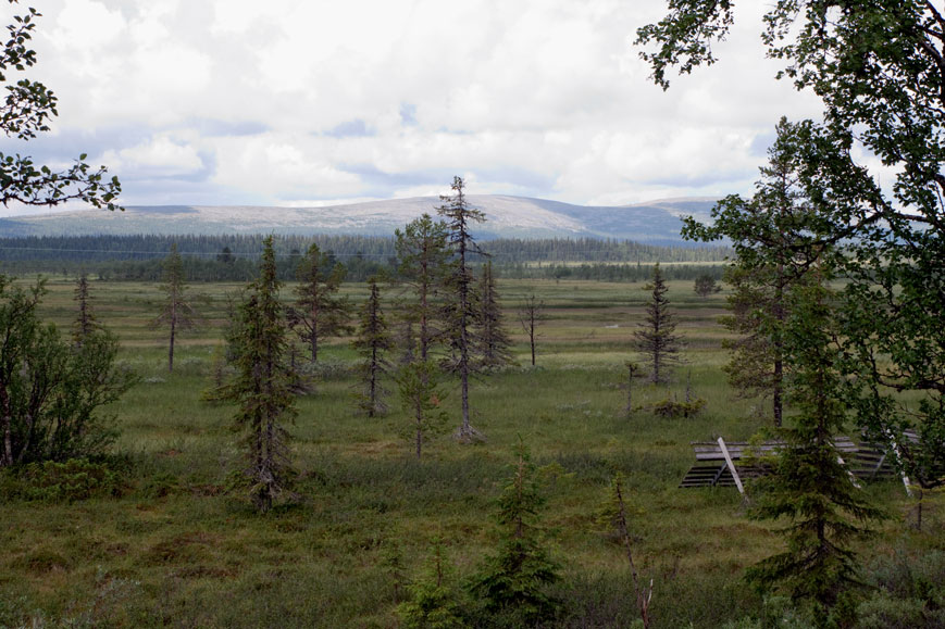 An der E45 etwa 35 Kilometer nördlich von Gällivare, Schweden