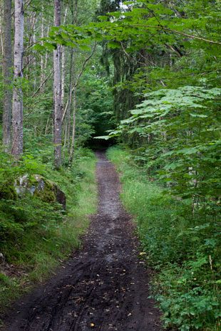 Mälardalsleden, Schweden