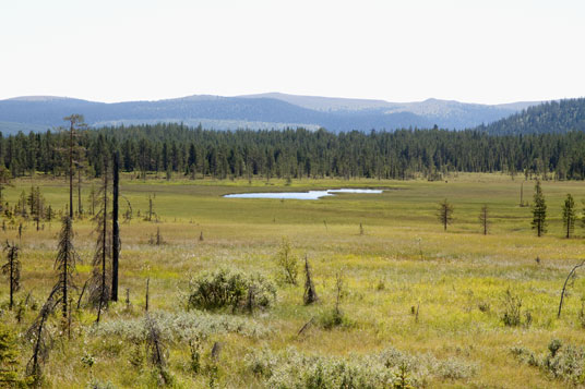 Etwa 10 Kilometer östlich von Slagnäs, Schweden