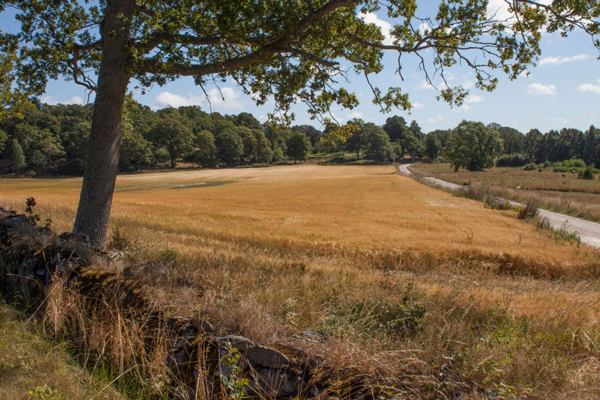 In einem Naturschutzgebiet 4 km vor Näthaby, Schweden