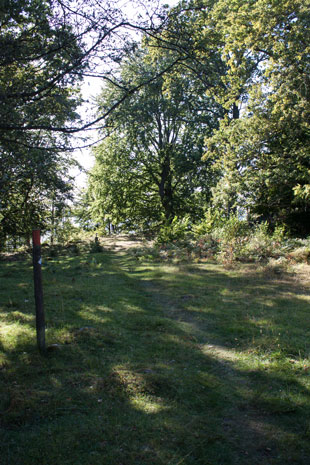 Abseits des Cykelspåret auf Pfaden durch ein Naturschutzgebiet bei Järnaviks Camping, Schweden