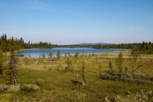 Nebenstraße nach Sumpfgebiet an der Nebenstraße nach Sorsele, Schweden