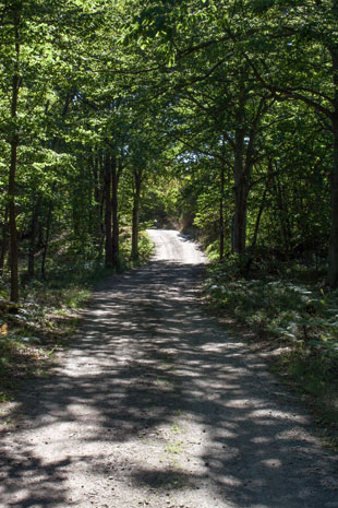 Sverigeleden im Wald westlich von Jämjö, Schweden