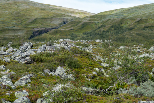 Aufstieg aus dem Tjuoltavagge in Richtung Tjuoltakårså