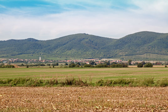 Dolne Orešany an der Kleinkarpatischen Weinstraße