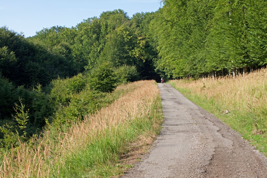 Radweg in den Kleinen Karpaten