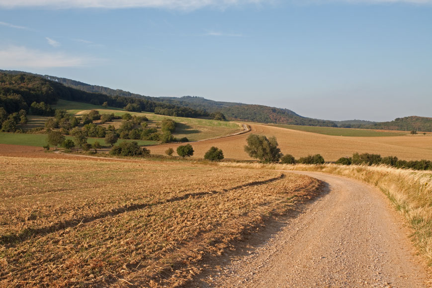 Radweg in den Kleinen Karpaten