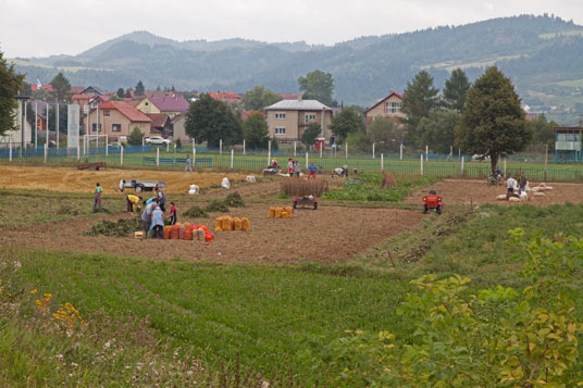 Feldarbeit bei Plavnika