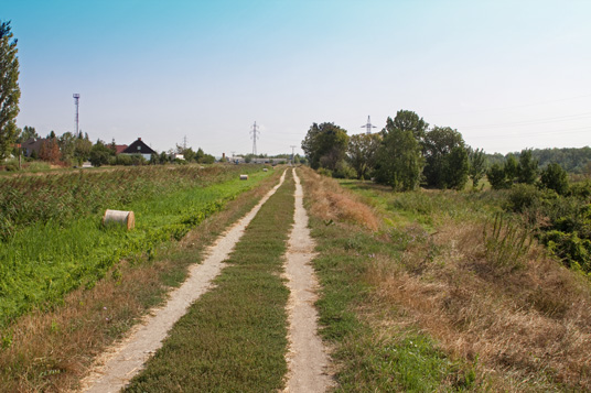 Radweg auf dem Hochwasserdamm bei Svätý Jur