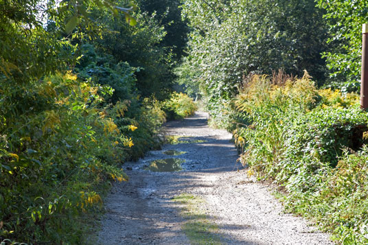 Radweg kurz hinter Banská Bystrica