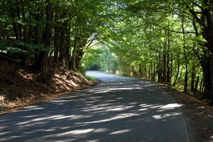 Straße 534 im Schemnitzer Gebirge