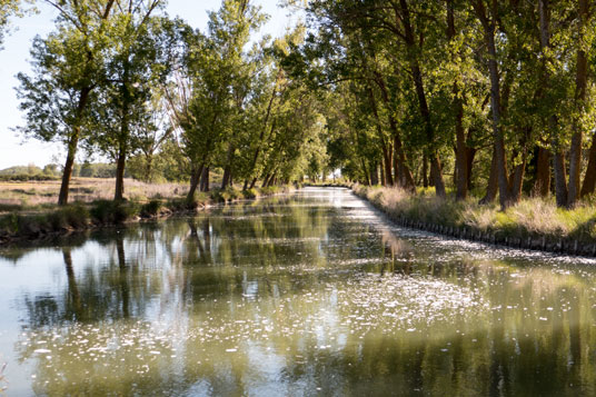 Canal de Campos