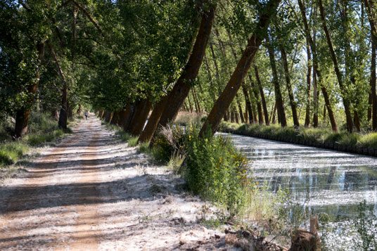 Canal de Campos