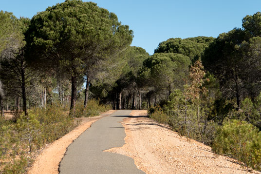 Eurovelo 1 nördlich von Trigueros