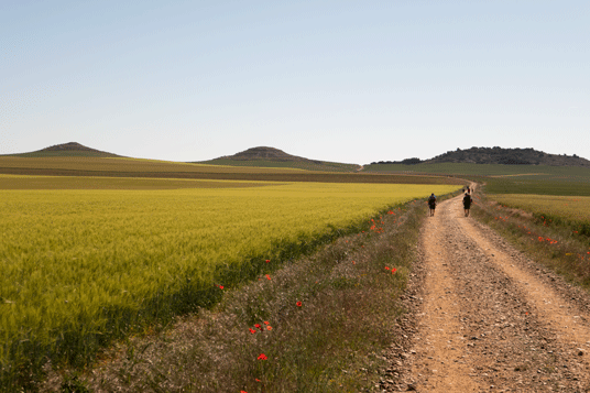 Eurovelo 1 westlich von Boadilla del Camino