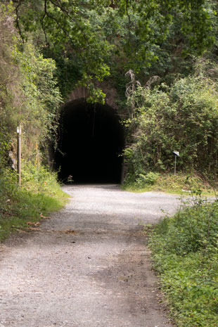 Eurovelo 1 als Bahnradweg nördlich von Sunbilla