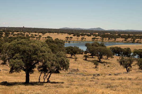 Landschaft nördlich von Trujillo