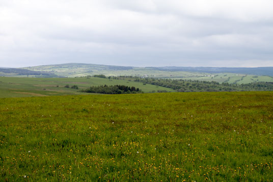 Böhmisches Erzgebirge bei Aolfov, Tschechien