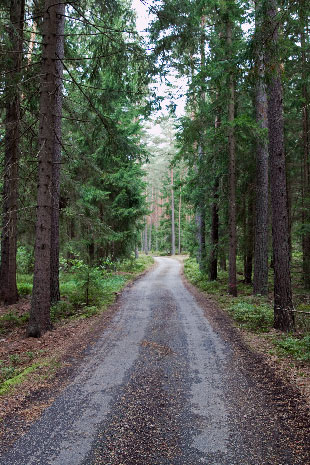 Greenways westlich von Nová Bystrice