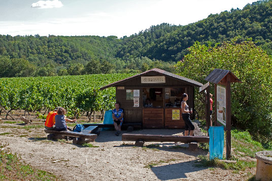 Weinprobe am Narodni Park