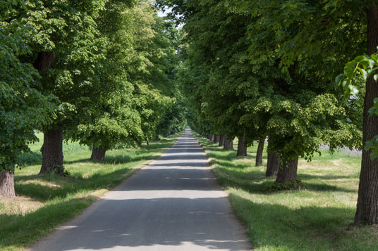 37 km nördlich von Prag bei Zamek Veltrusy