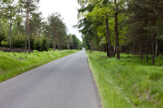 Radweg 23 kurz hinter Sněžnik