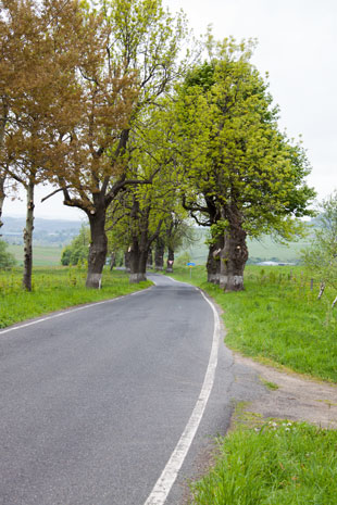 Radweg 23 bei Krásný Les