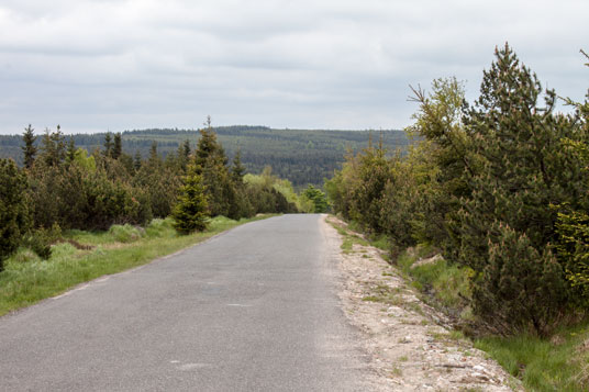 Radweg 23 etwa fünf Kilometer südwestlich von Cinovec