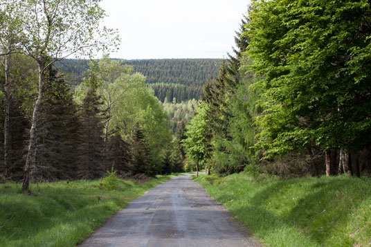 Radweg 23 im Wald westlich von Rudolice v Horách, Tschechien