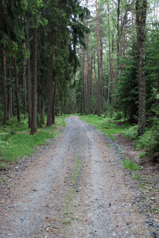 Radweg 23 südlich von Plesna