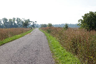 Straße 40843 südlich von Dyjakovice