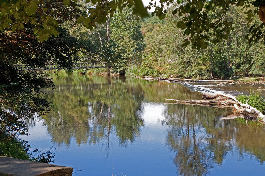 Der Fluss Thaya im Narodni Park