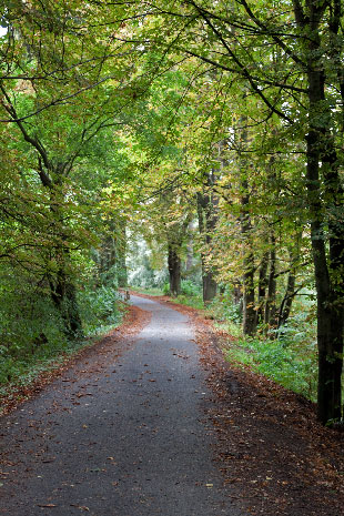 Radweg östlich von Sedlec