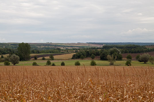 Landschaft ötlich von Mikulov