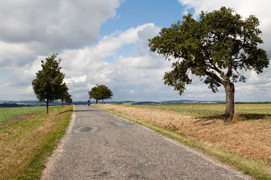 Landstraße in der Nähe des Ortes Vratenin