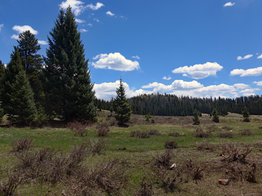 San Pedro Mountains