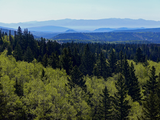 San Pedro Mountains