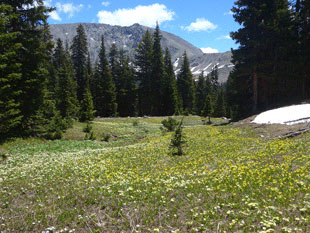 trail nach Silverthorne