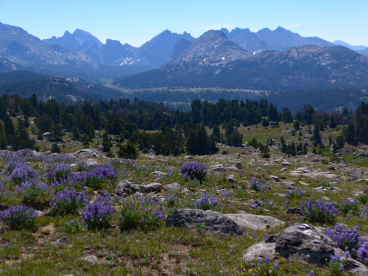 Wind River Range