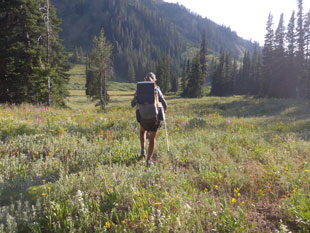 roaring creek valley